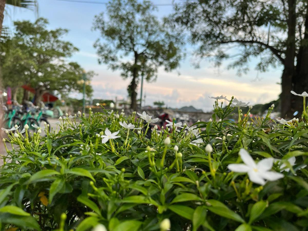 Cat Ba Rosalia Hotel Dong Khe Sau Esterno foto